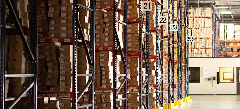 western footwear logistics case study